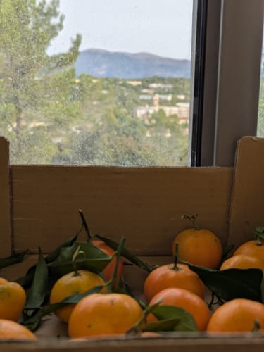 Jihane F. review of Clémentines Bio - Origine Corse image 1 out of 1