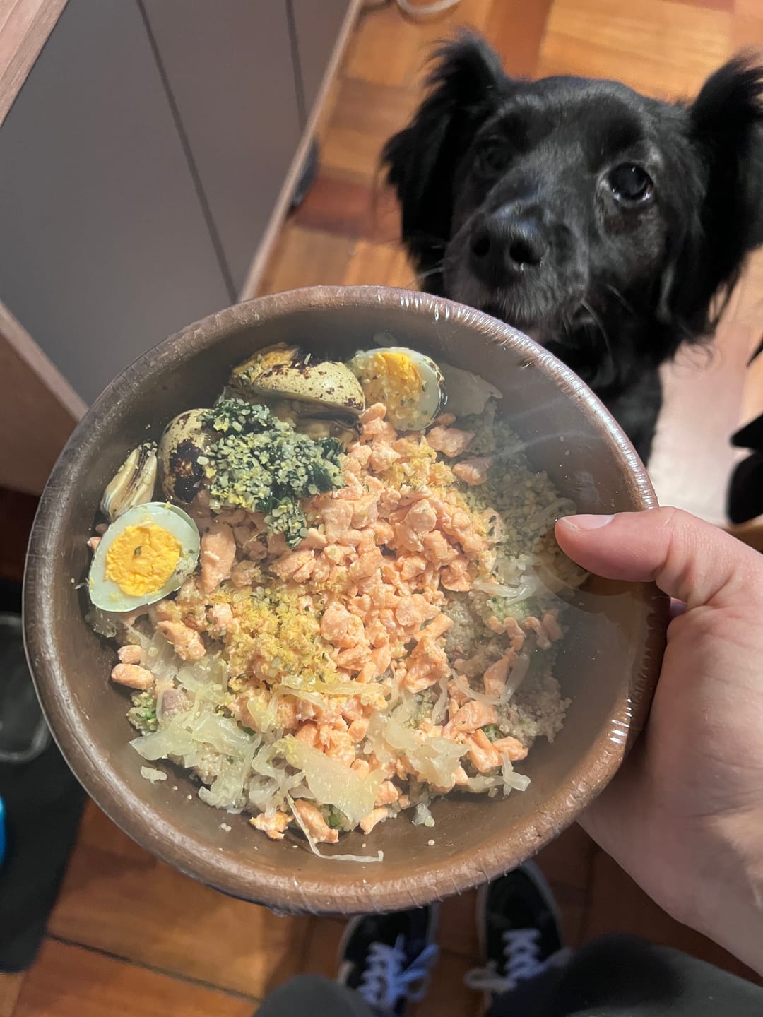 Customer photo review of Espíritu Marino - PERROS