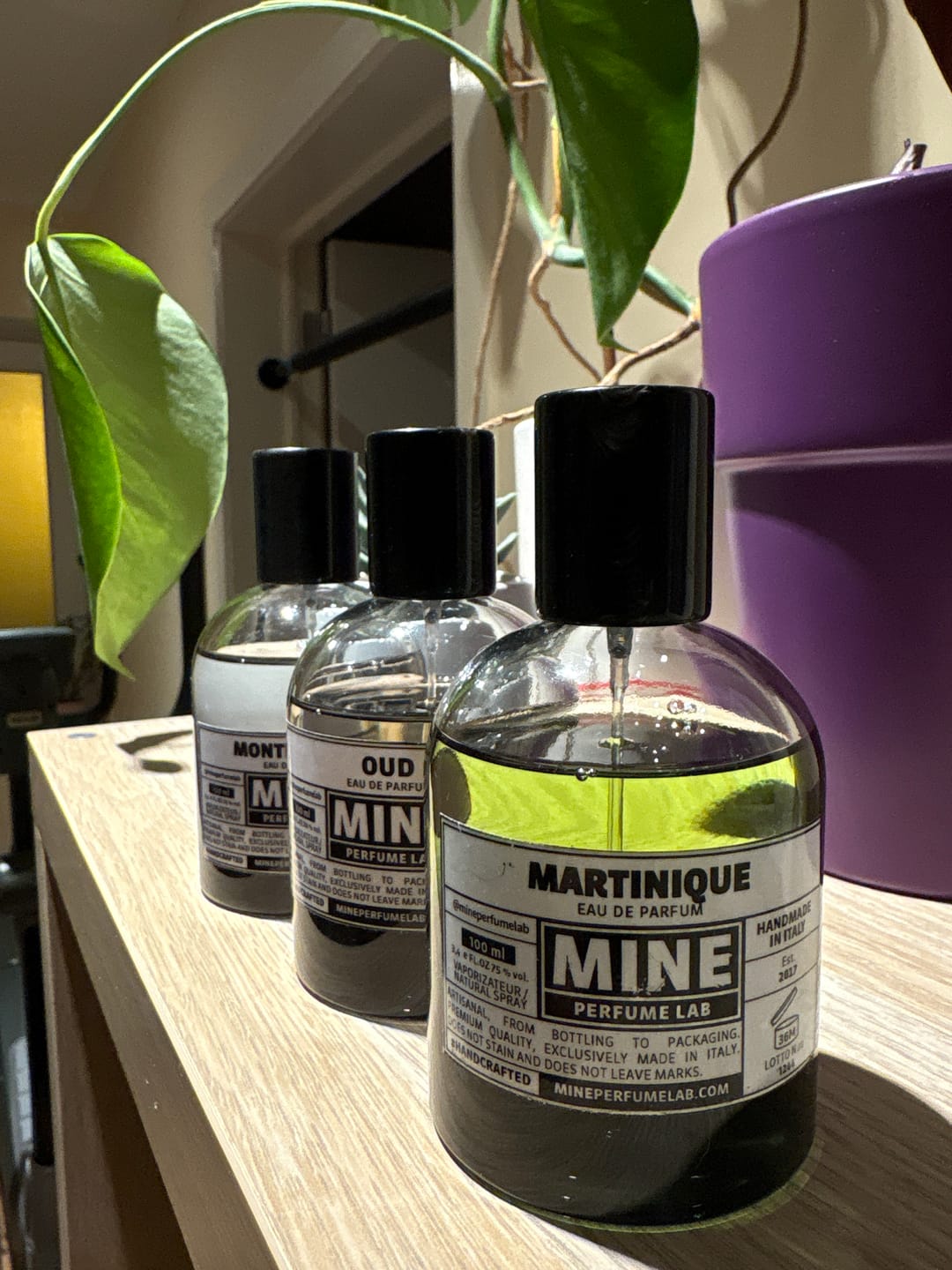 Customer photo review of MARTINIQUE