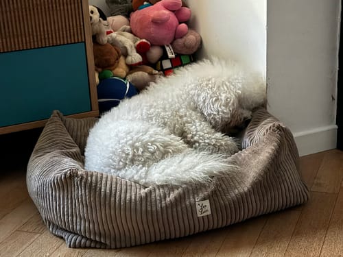 Customer photo review of Cover Divanetto Velluto a Coste Marrone