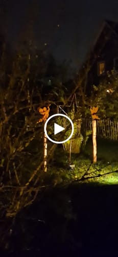 Customer video review of Gartenstecker Engel