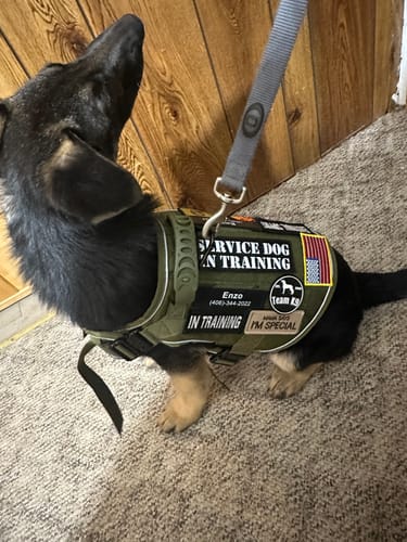 Customer photo review of Custom Hook & Loop Patch For Harness (1 Pair)