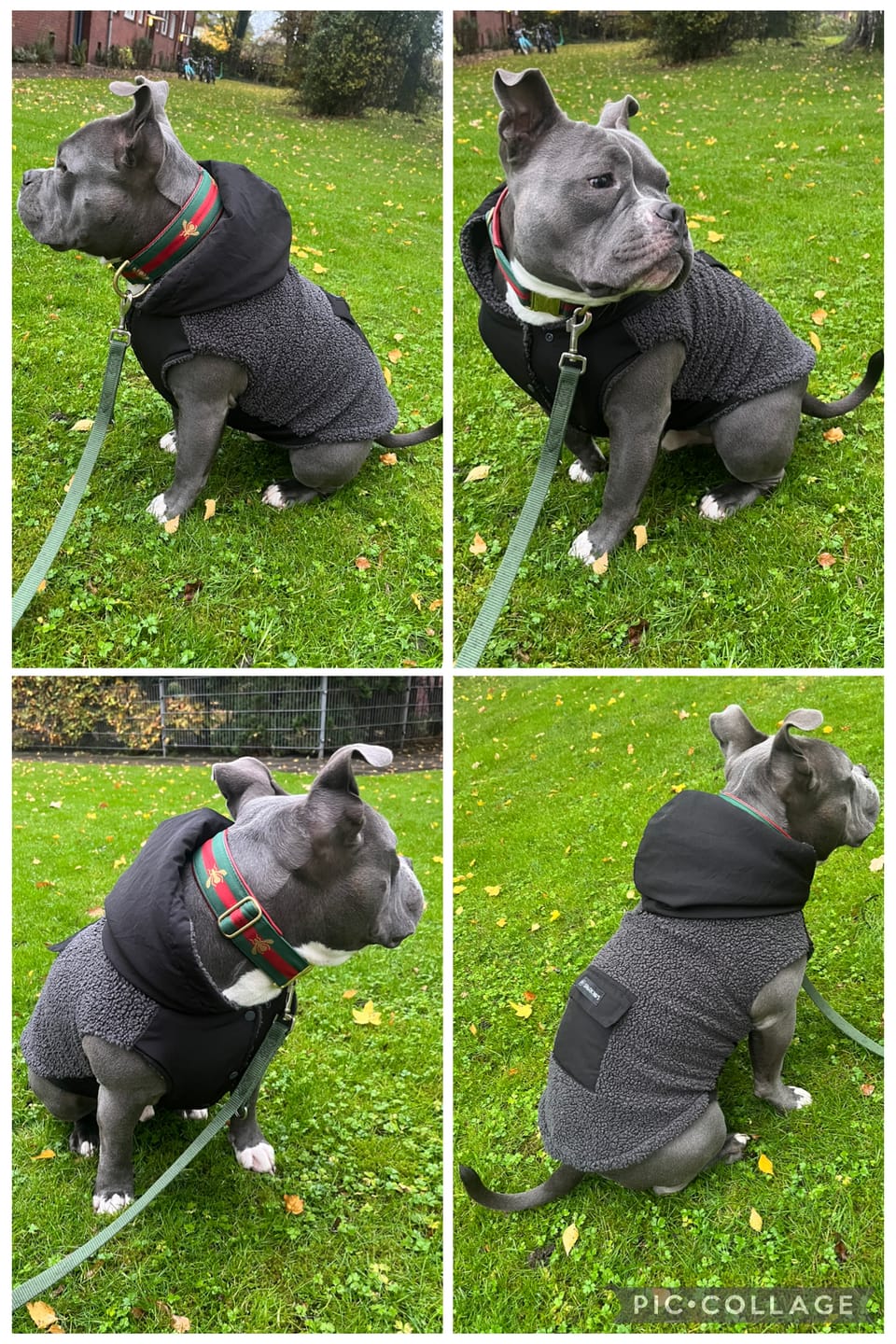 Customer photo review of Reversible Sherpa Jacket - Grey and Black