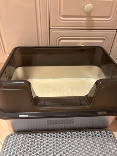 Customer photo review of 3 Month Supply - 1 Cat