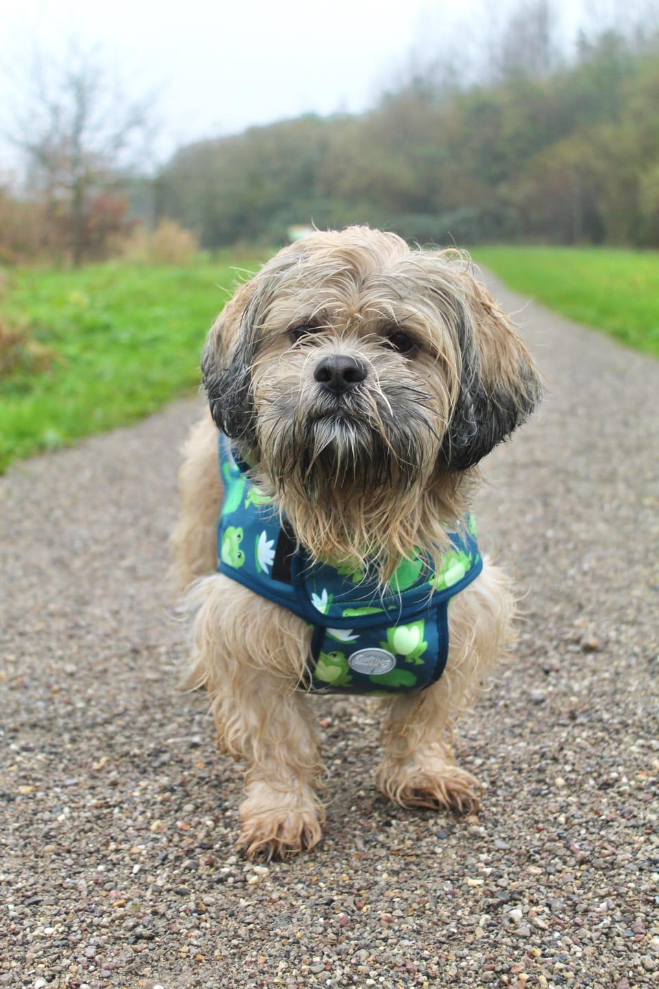 Customer photo review of Rain Jacket - Frogging Fabulous