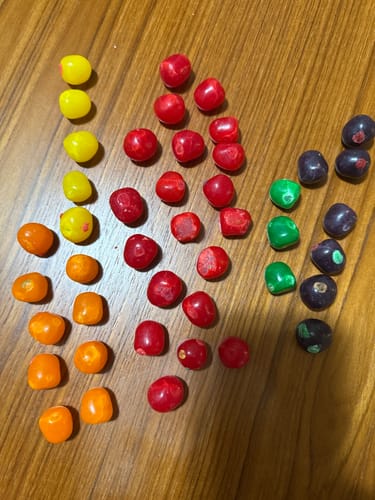 Customer photo review of Chewy Fruit Sour Balls - Assorted Mix 2.5LB