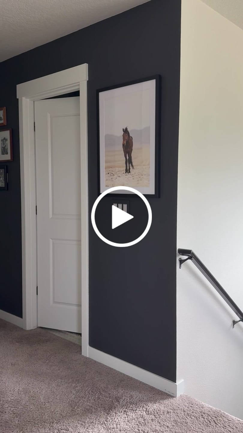 Customer video review of Mesa Mustang