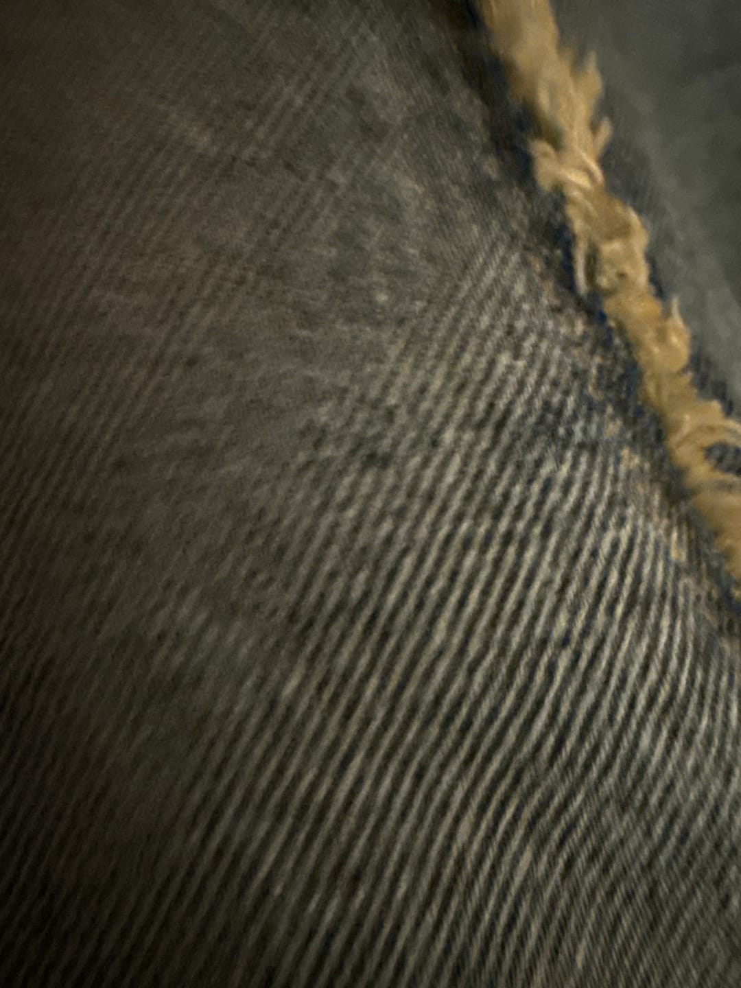 Customer photo review of Aelfric Eden Baggy Fringe Jeans