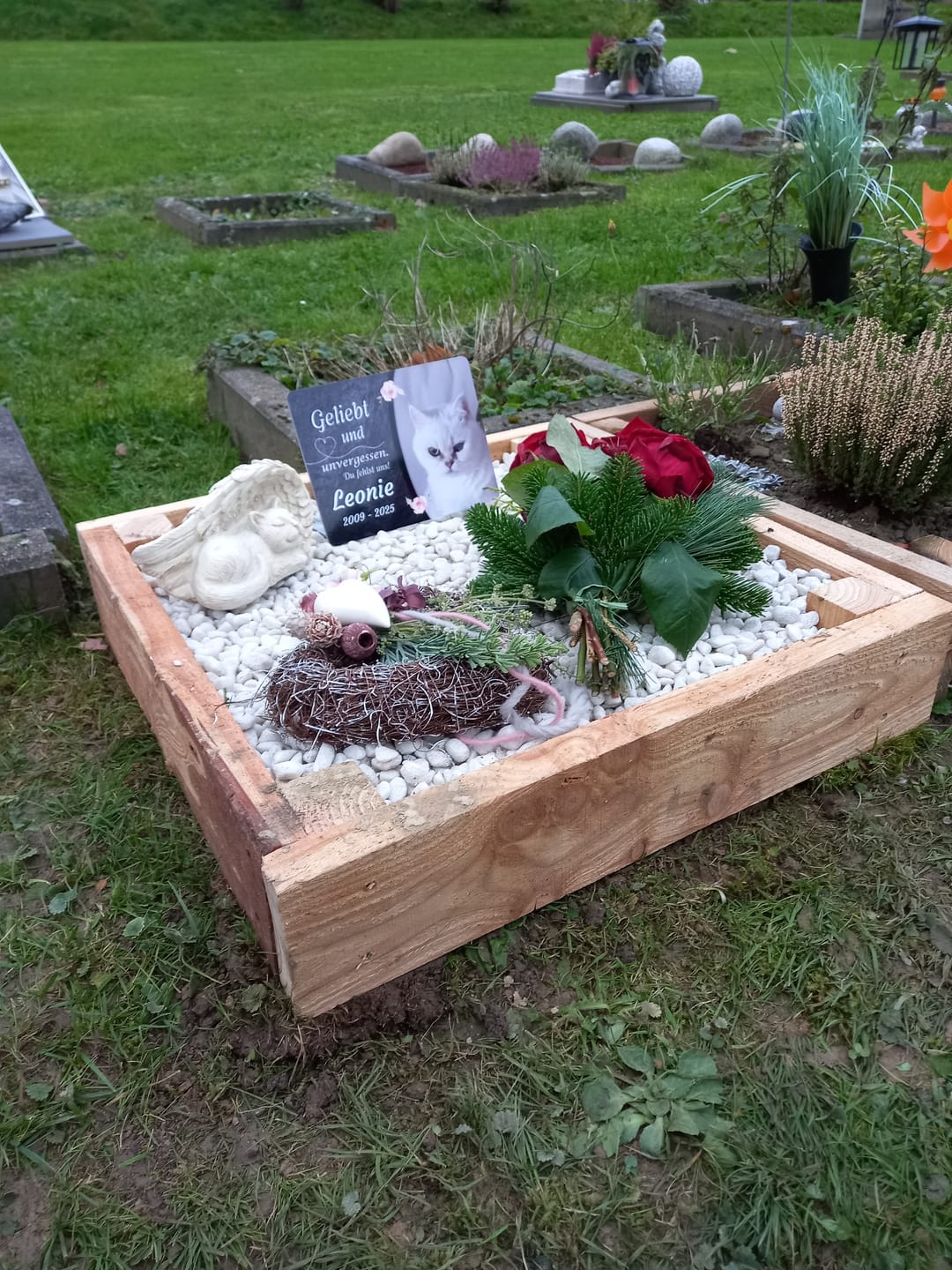 Customer photo review of Katzen Gedenktafel mit Foto & Spruch (UV- & Wetterfest)