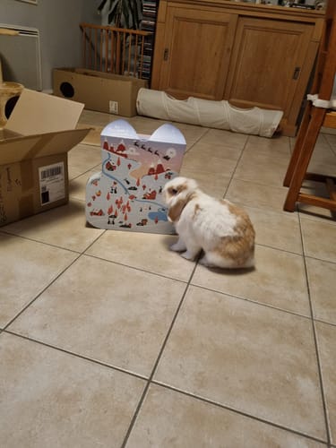 Customer photo review of Calendrier de l’Avent (prévente) – La Hopbox à CarotteVille