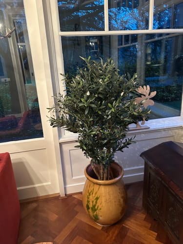 Customer photo review of Kunst Olijfboom 120cm Deluxe