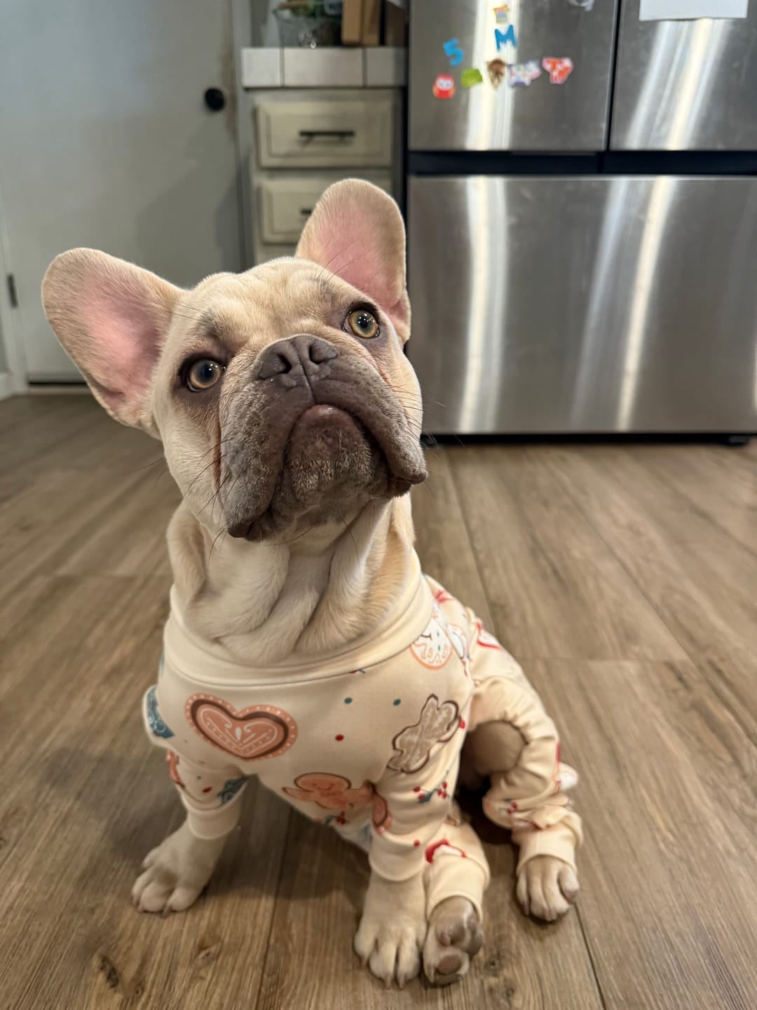 Customer photo review of Dog Christmas Pajama - Frosty Night