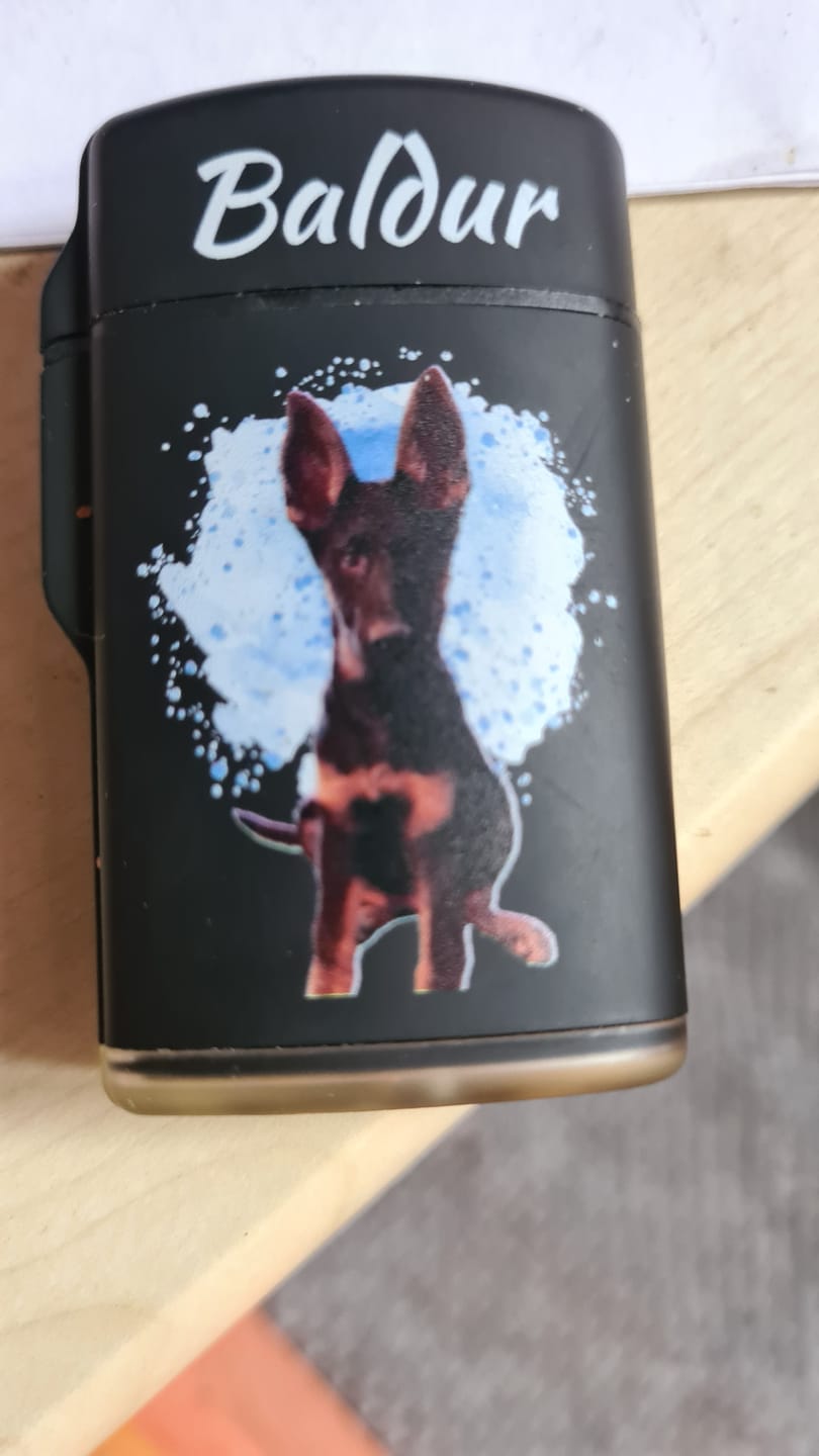 Customer photo review of Haustierportrait - Individuelles Sturmfeuerzeug