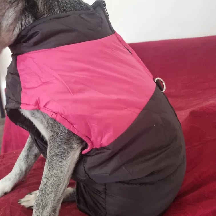Customer photo review of Winter Pet Dog Clothes Warm Big Dog Coat Puppy Clothing Waterproof Pet Vest Jacket For Small Medium Large Dogs Golden Retriever