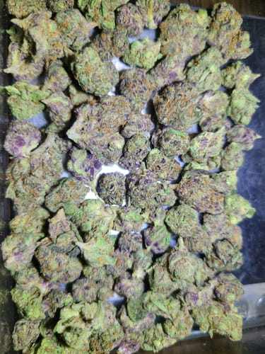 Customer photo review of 9 LB Hammer Exotic THCA Flower