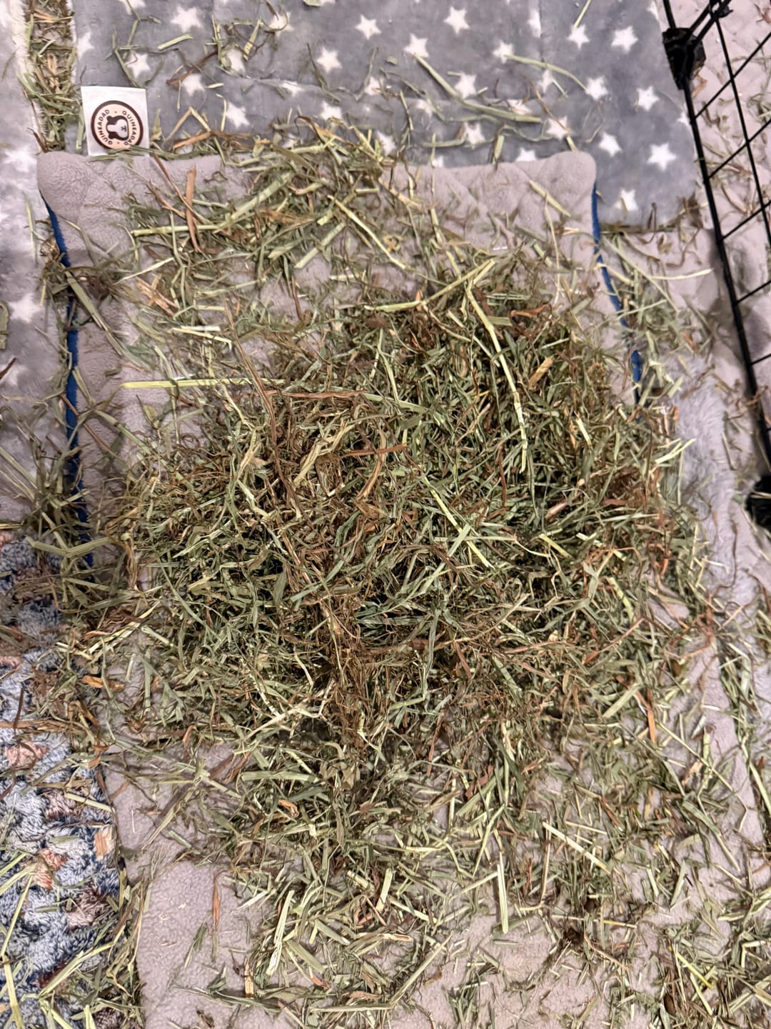 Customer photo review of GuineaDad Timothy Hay Bar for Guinea Pigs (5 Pack)