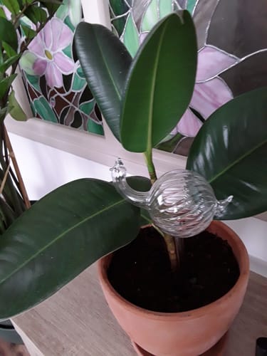 Customer photo review of Mon petit escargot®