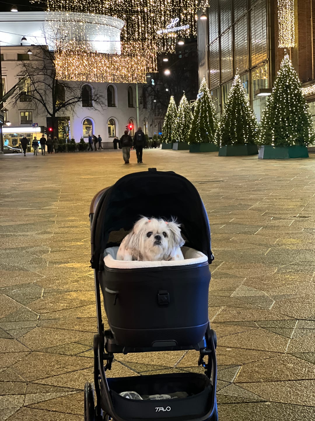 Customer photo review of Maeve iso7X R Travel System - Lemmikkirattaat