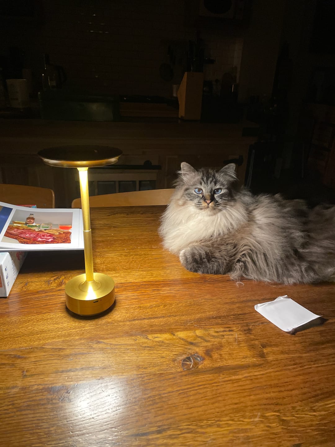 Customer photo review of Cordless Modern Aura Table Lamp - Cordless Table Lamp with Touch Control & Modern Nordic Design