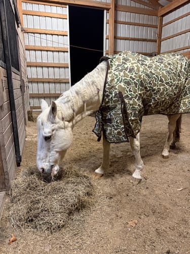 Customer photo review of DUCK HUNT 1200D TURNOUT SHEET