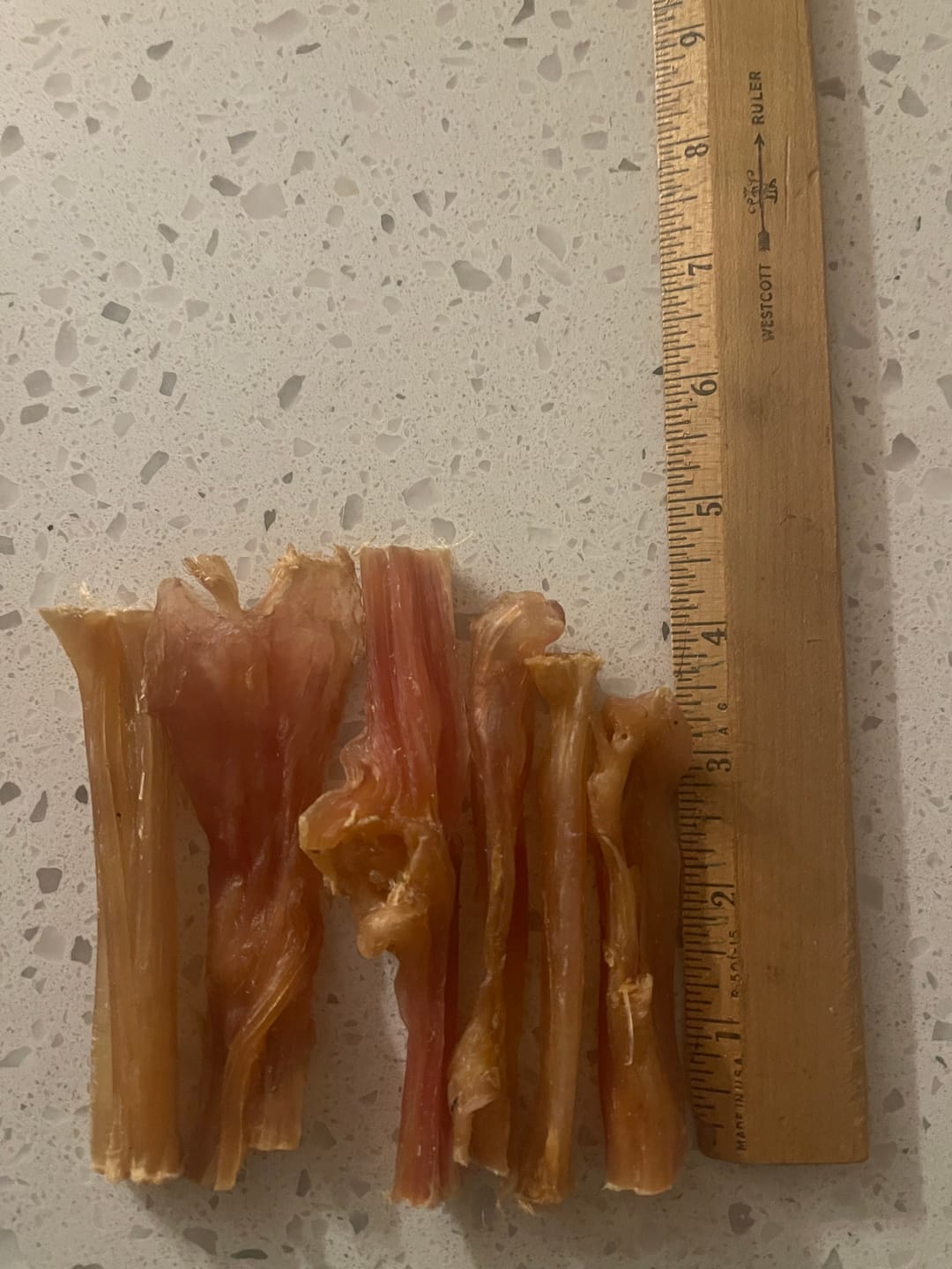Customer photo review of 4-6 Inch Beef Tendon Dog Chews