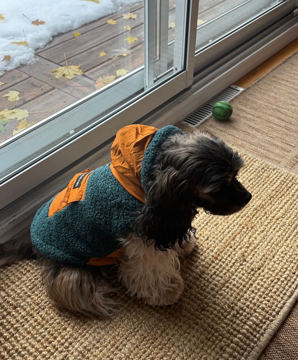Customer photo review of Reversible Jacket - Green and Orange