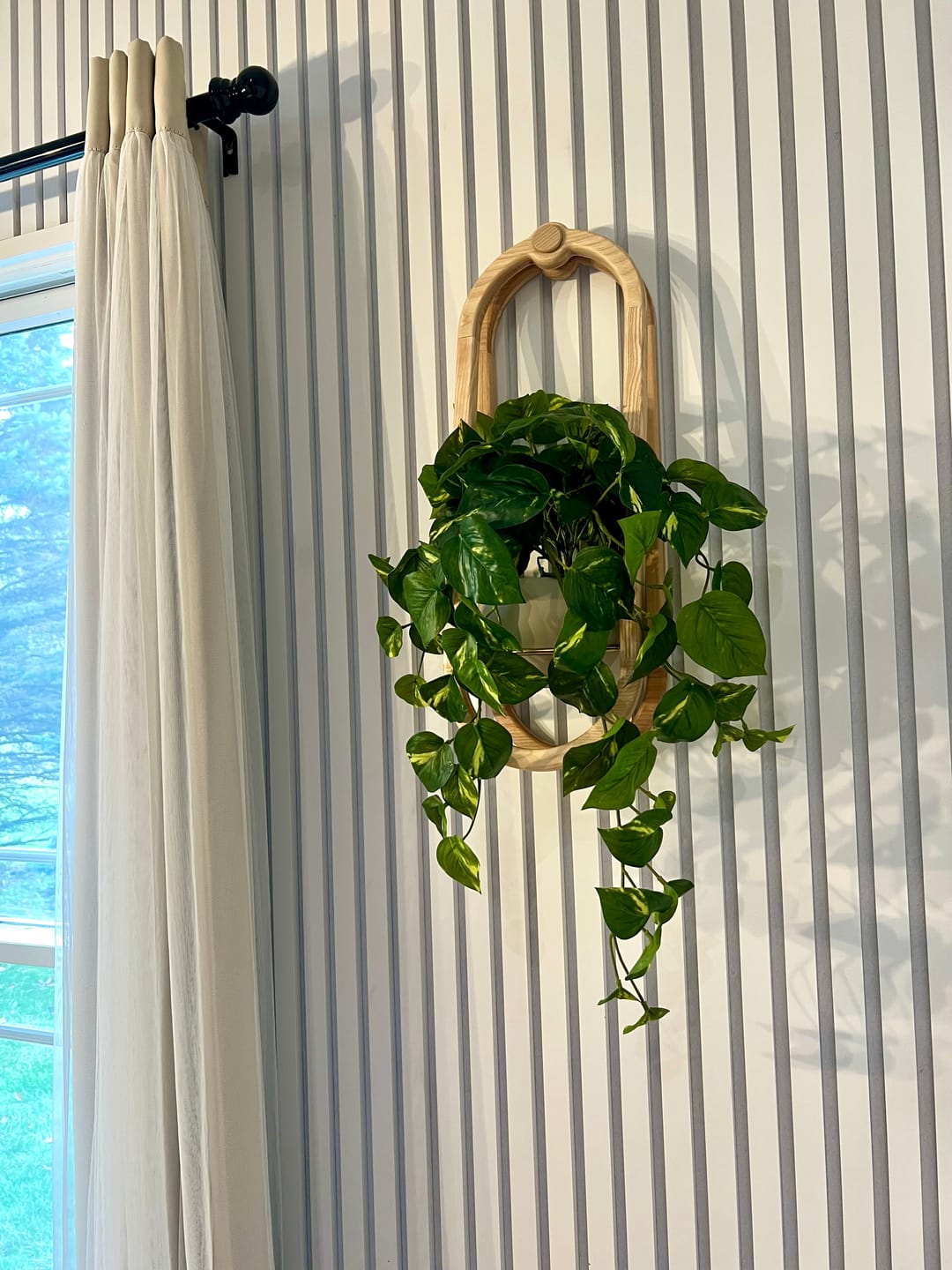 Customer photo review of Frame Wall Planter + Pot