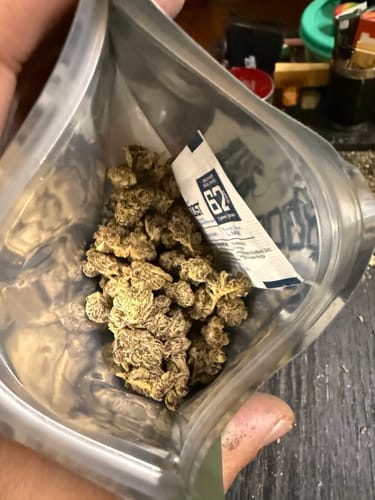 Customer photo review of Value Indoor Smalls