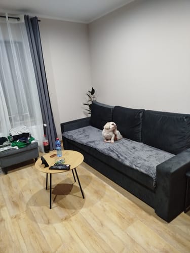 Customer photo review of Kanapa NEO BP velvet