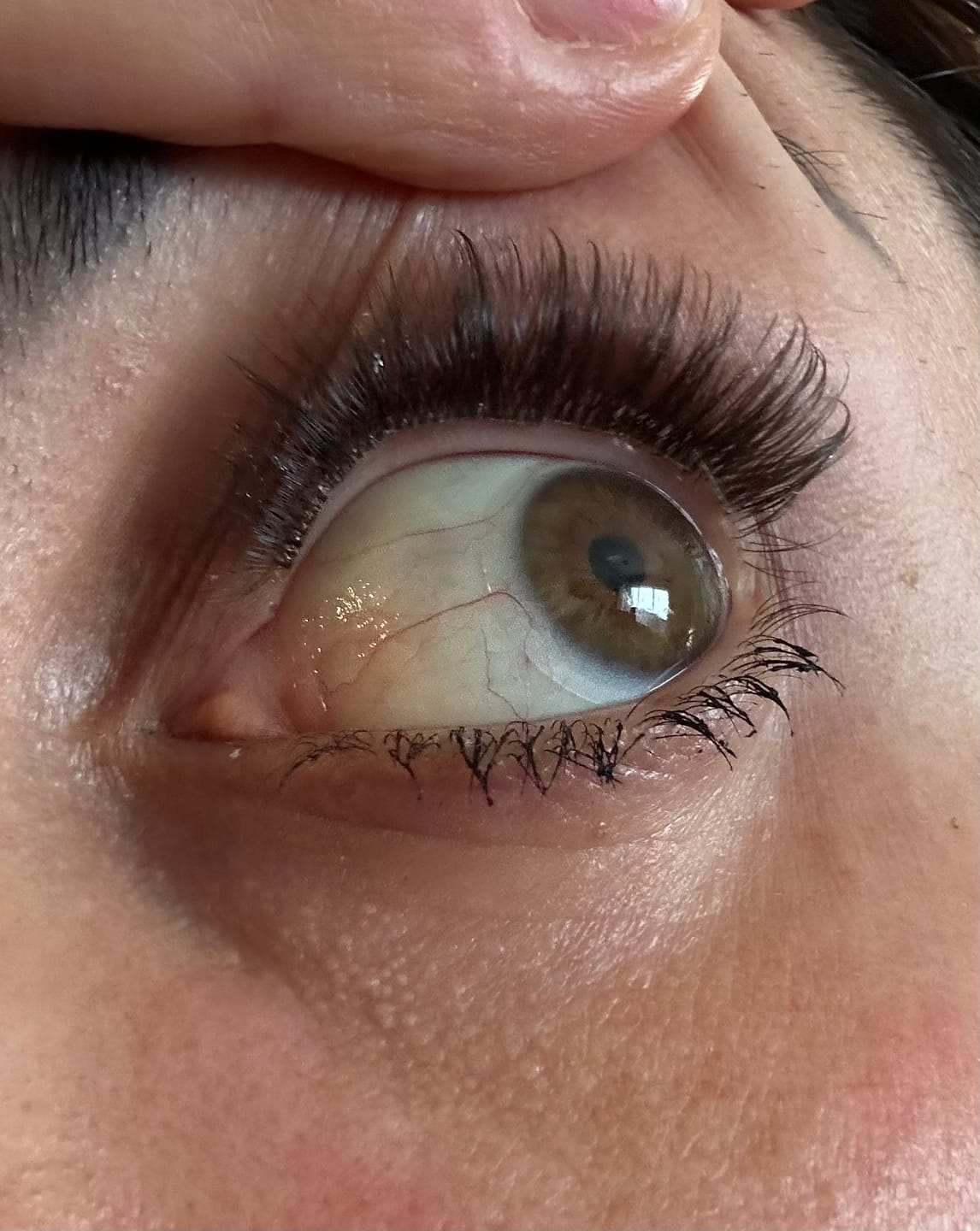 Customer photo review of Giali Beauty DIY Brown Cluster Press On Lashes