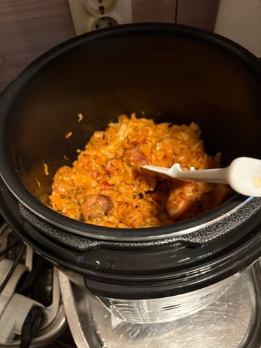 Customer photo review of Multicooker Novio EasyCook