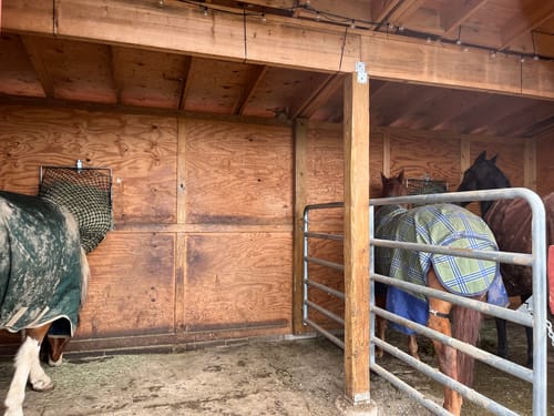 Customer photo review of Hay Chix® Free Up Feeder