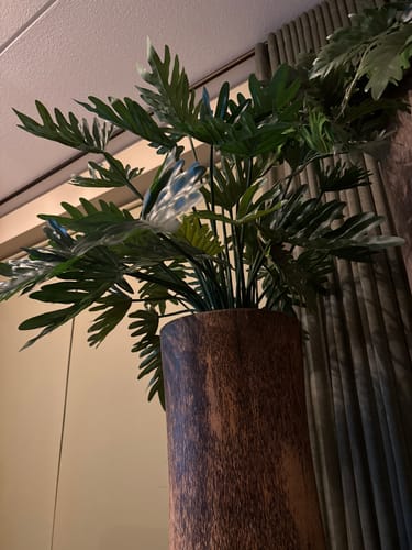 Customer photo review of Philodendron Kunstplant 75cm