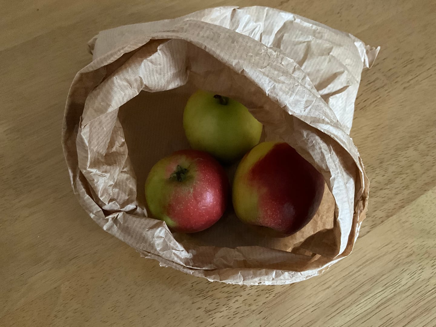 Customer photo review of Paper Sandwich Bags