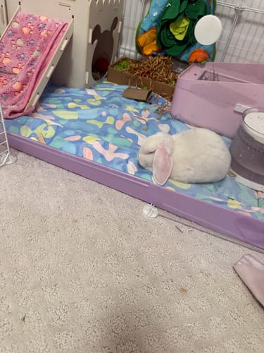 Customer photo review of Fleece Liners | Pigcasso