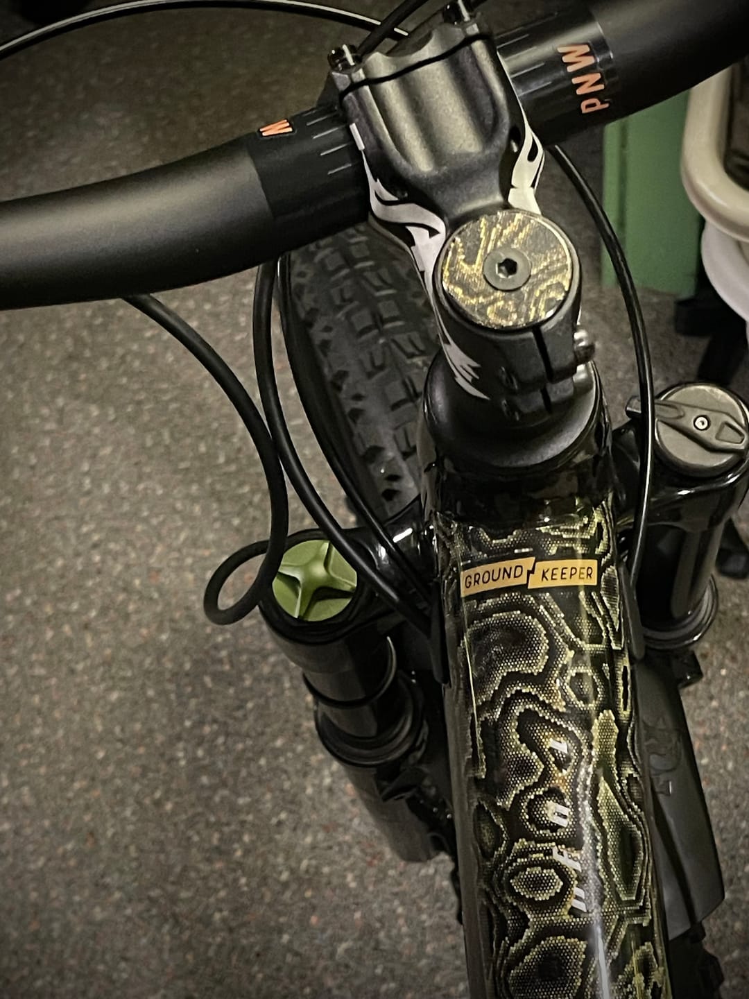 Customer photo review of Snake Charmer Frame Keeper