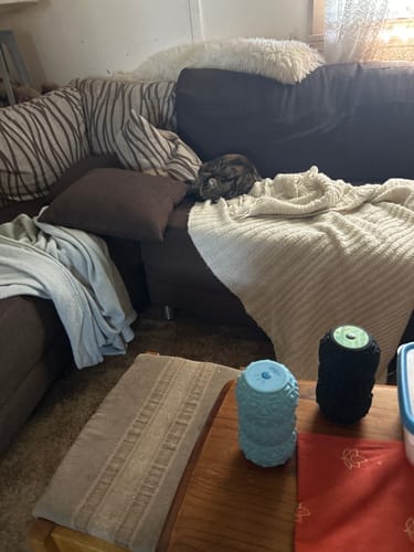 Customer photo review of Vibit Full Body Relief Bundle
