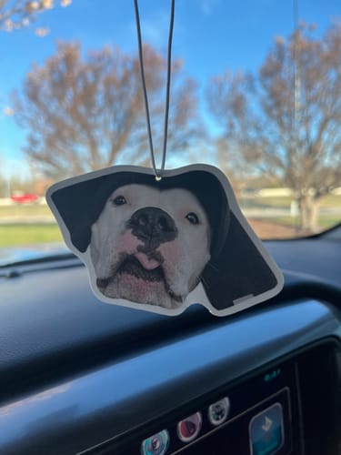 Customer photo review of Custom Air Freshener