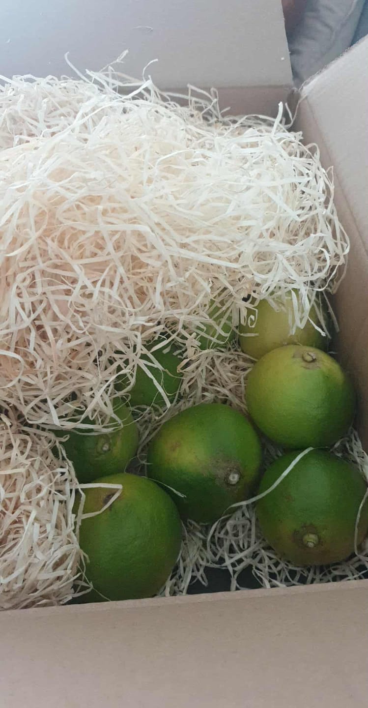 Customer photo review of Bergamotten Bio Kalabrien