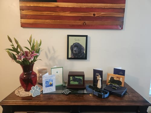 Customer photo review of Pet Art Canvas Wrap
