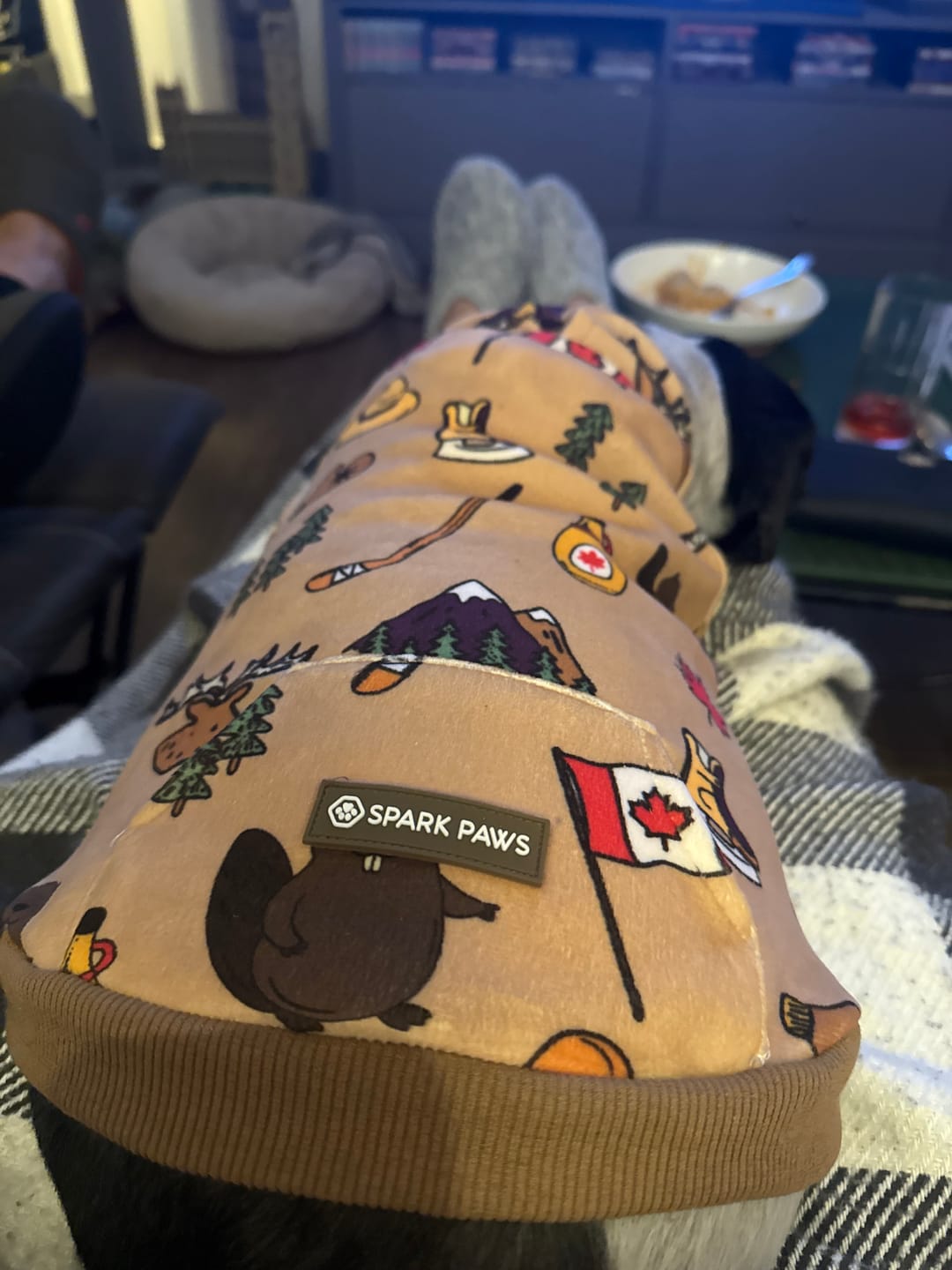Customer photo review of Canada Dog Hoodie