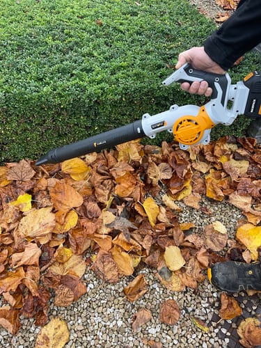 Customer photo review of 18V Cordless Multi-Blower