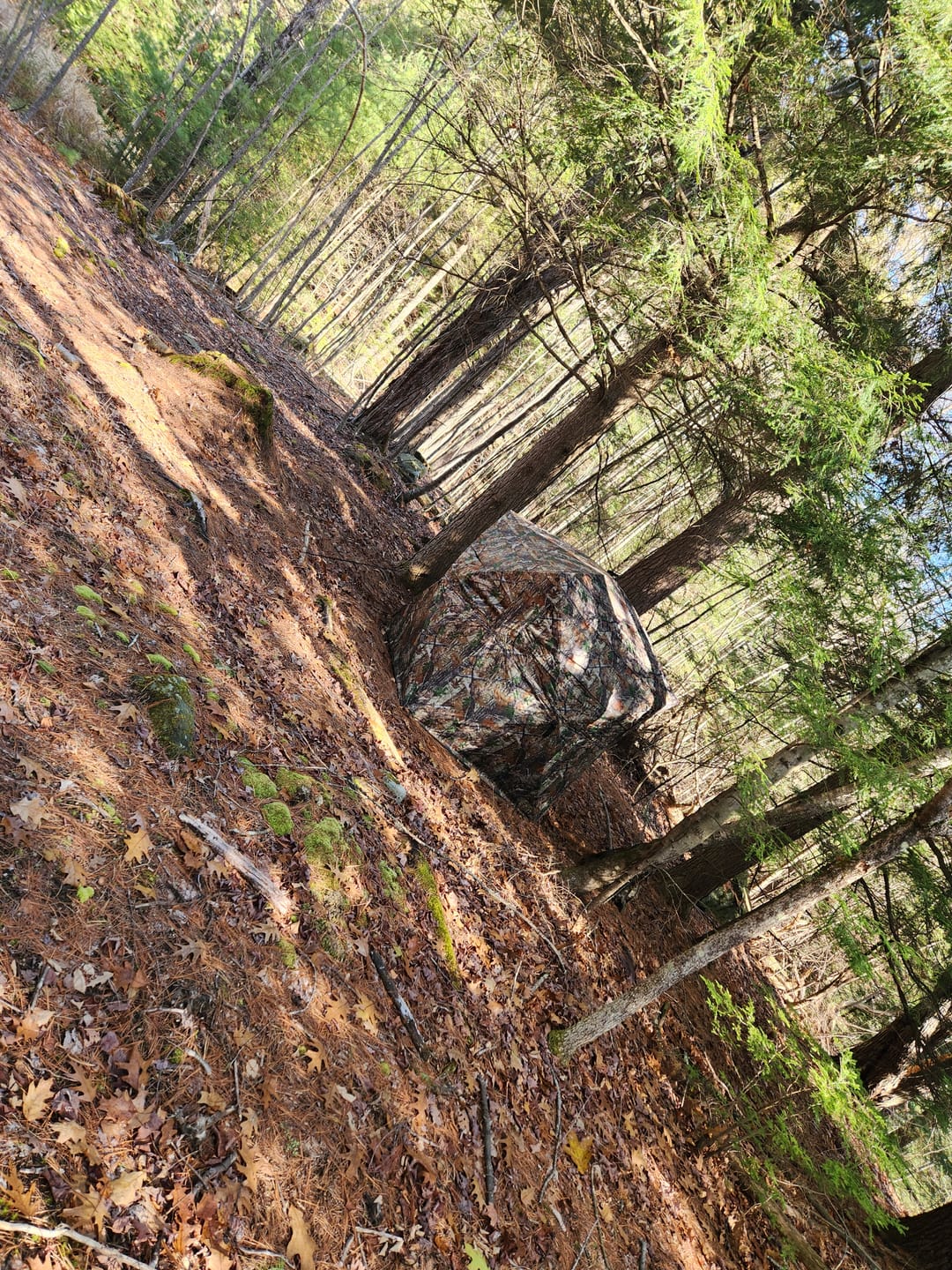 Customer photo review of Vis Series See Through Hunting Blind, Pop Up Ground Deer Blind