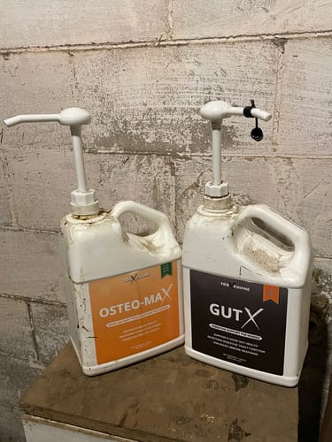 Customer photo review of Osteo-MAX & Gut X » up to 27% Savings