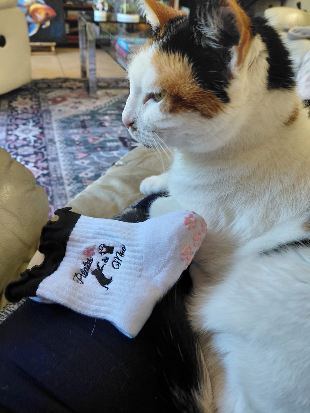 Customer photo review of Pilates & Meow