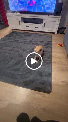 Customer video review of The Mellow Mat® Cloud Haven 3D (Soft Touch Sensory Tatami Rug)