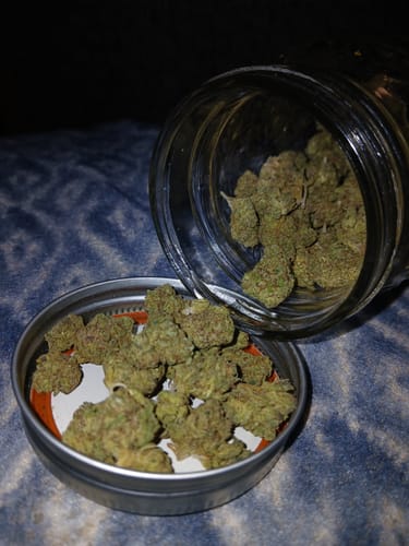 Customer photo review of THCA Queen