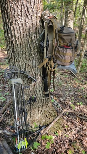 Customer photo review of Wolf Pack™️ Backpack