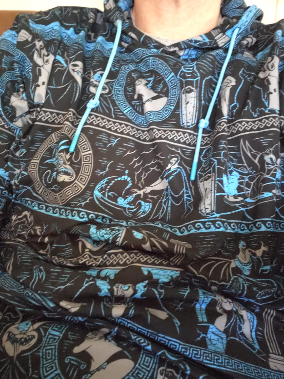 Customer photo review of Disney Villains "Hades Gonna Hate" – Performance Hoodie