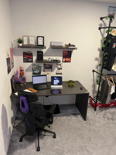 Customer photo review of FORMULA 1 WALL COLLAGE POSTERS